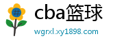 cba篮球